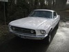 Ford Mustang Fastback GT V8 289ci de 1967 face