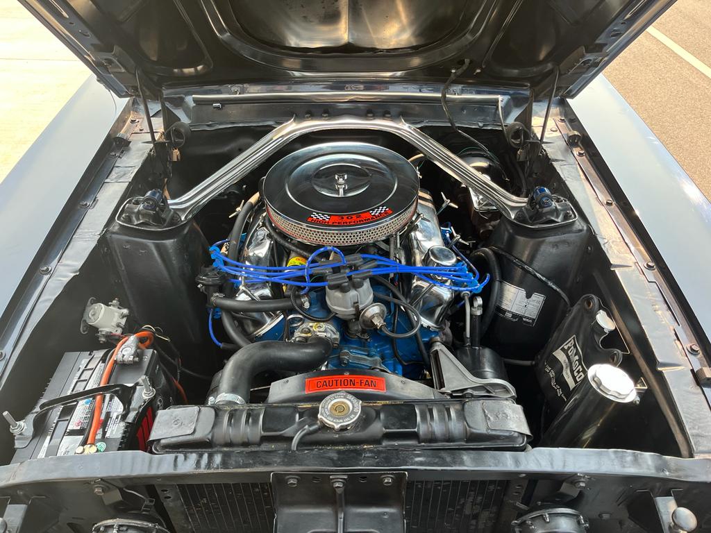 Ford Mustang V8 289ci de 1967 moteur face